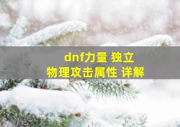 dnf力量 独立 物理攻击属性 详解